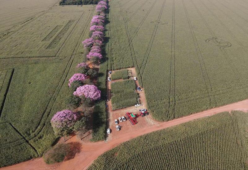 Produtores de MS se preparam para reforma: soja e milho em foco
